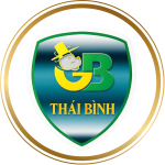 THÁI BÌNH GIA BẢO FC