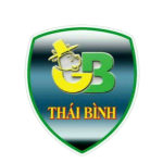 THÁI BÌNH GIA BẢO FC