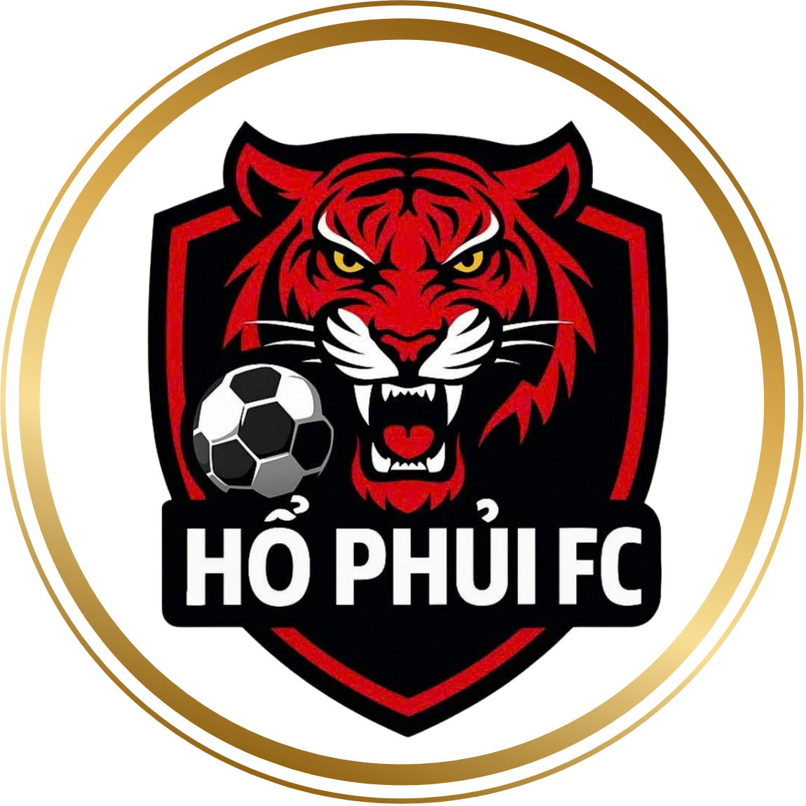 HỔ PHỦI FC